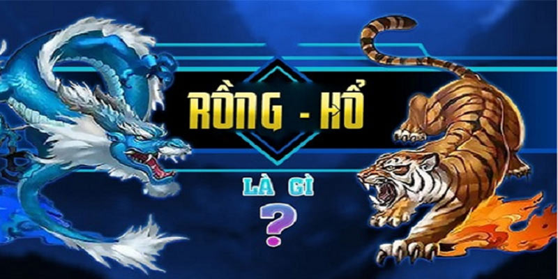 Cách Chơi Rồng Hổ: Bí Quyết Chiến Thắng Đơn Giản Nhất!