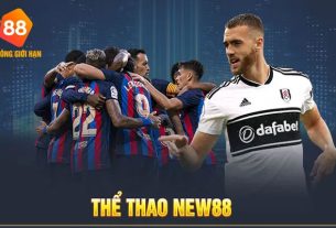 Trải nghiệm tuyệt vời với Thể thao New88 - Nơi đam mê thể thao hội tụ