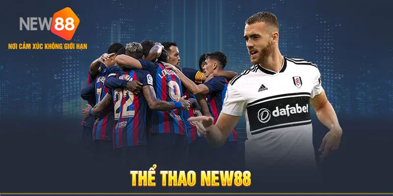 Trải nghiệm tuyệt vời với Thể thao New88 - Nơi đam mê thể thao hội tụ