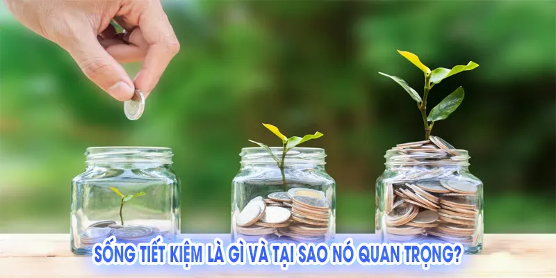 Sống Tiết Kiệm: Hướng Dẫn Để Xây Dựng Tương Lai